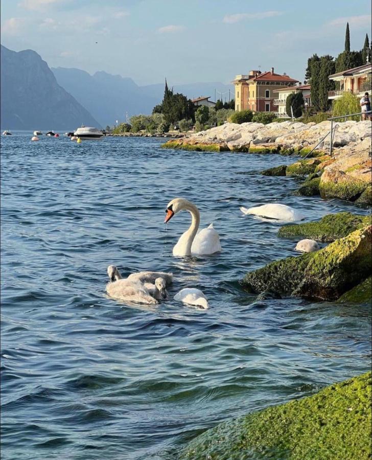Villa Torre - Atmosfera Romantica Бренцоне-суль-Гарда Екстер'єр фото
